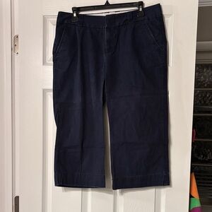 GAP Women’s Navy Cropped Chino Pants